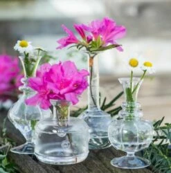 Miss Daisy Bud Vases, Set Of 4