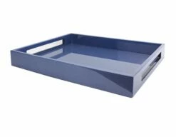 Blue Shagreen Tray