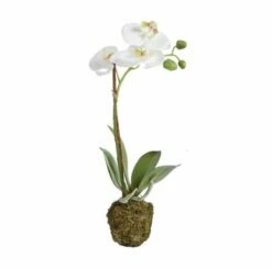 15″ Orchid Drop-In