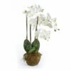 30″ Orchid Drop-In 1 30″ Orchid Drop-In -Nest Fine Gifts Sales Shop NHG 30 Inch Orchid Drop In New