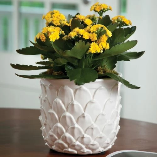 Artichoke Cachepot 3 Artichoke Cachepot