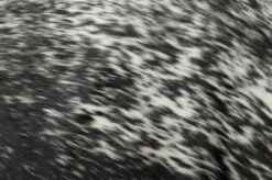 Salt & Pepper Mix Cowhide