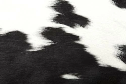 Black White Special Cowhide 3 Black White Special Cowhide