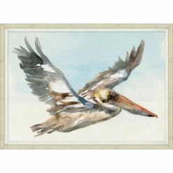 Pelican In Flight