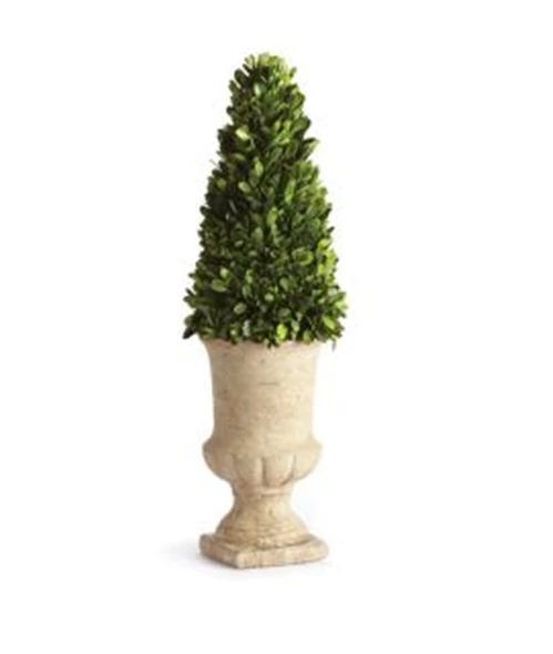 Preserved Boxwood 24″ Cone Topiary In Urn 3 Preserved Boxwood 24″ Cone Topiary In Urn