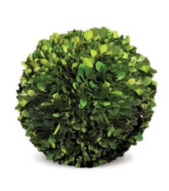 Preserved Boxwood 8″ Ball